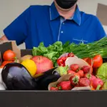 persona cargando frutas y verduras